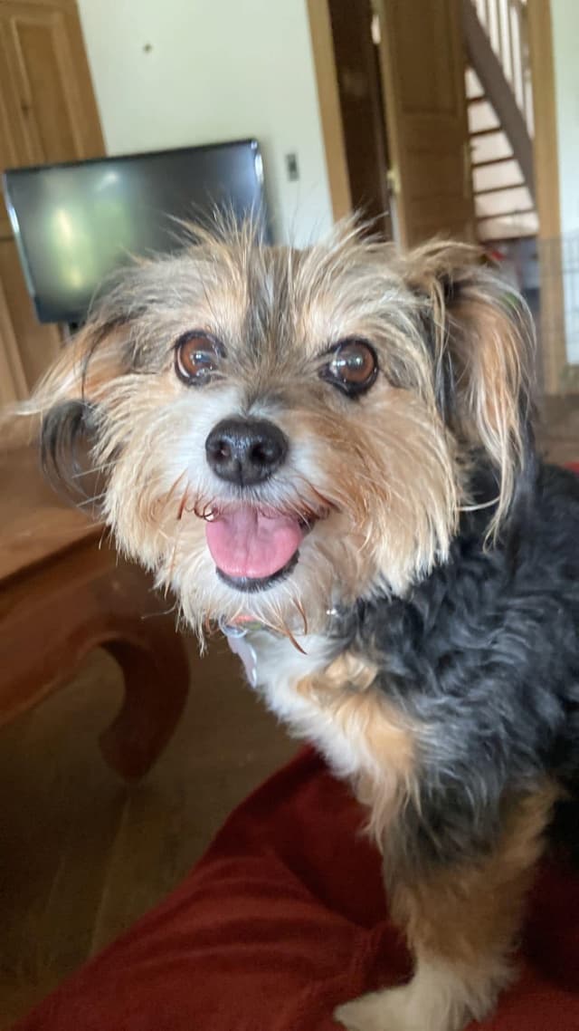 Rita · photo 2