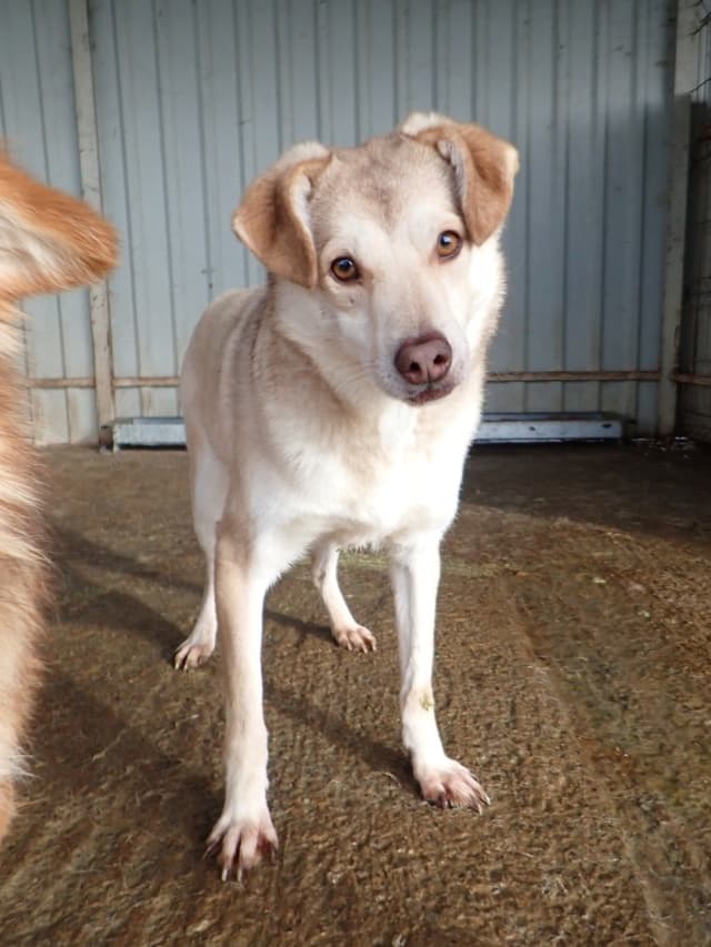 Sadie · photo 2