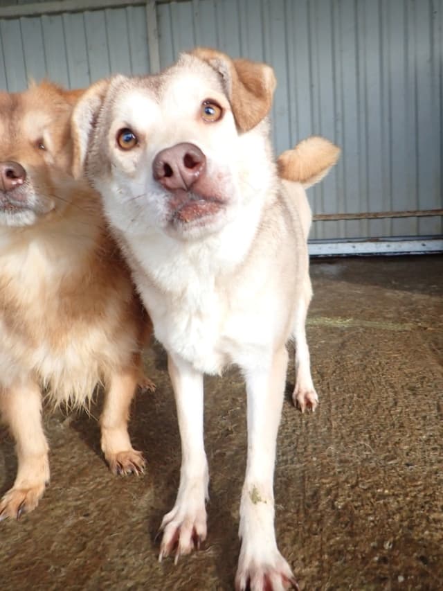 Sadie · photo 1