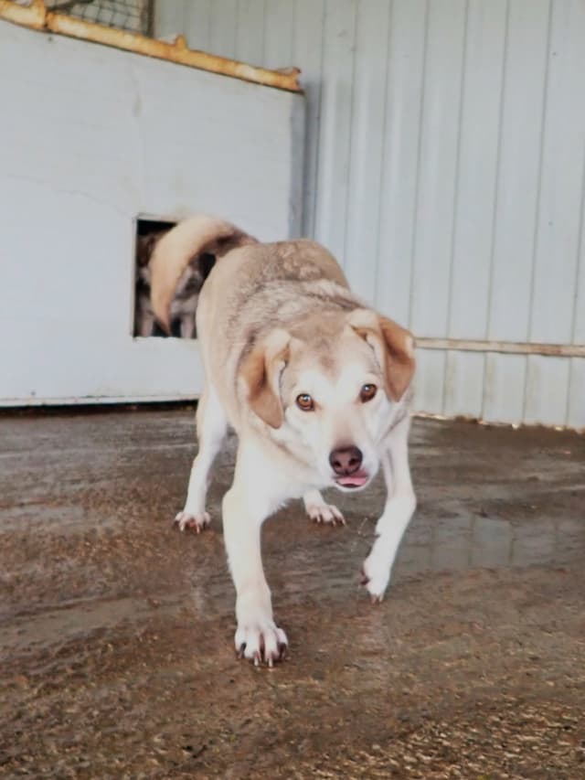 Sadie · photo 10