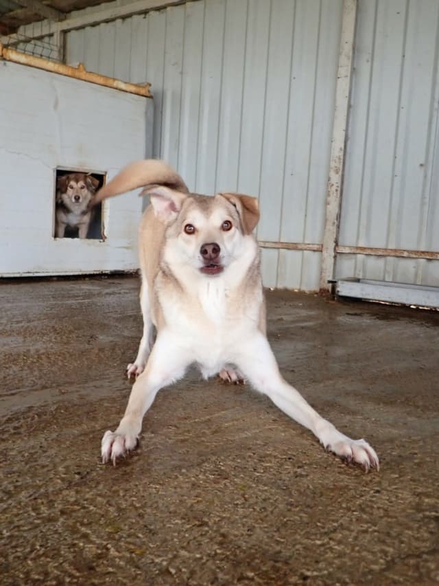 Sadie · photo 9