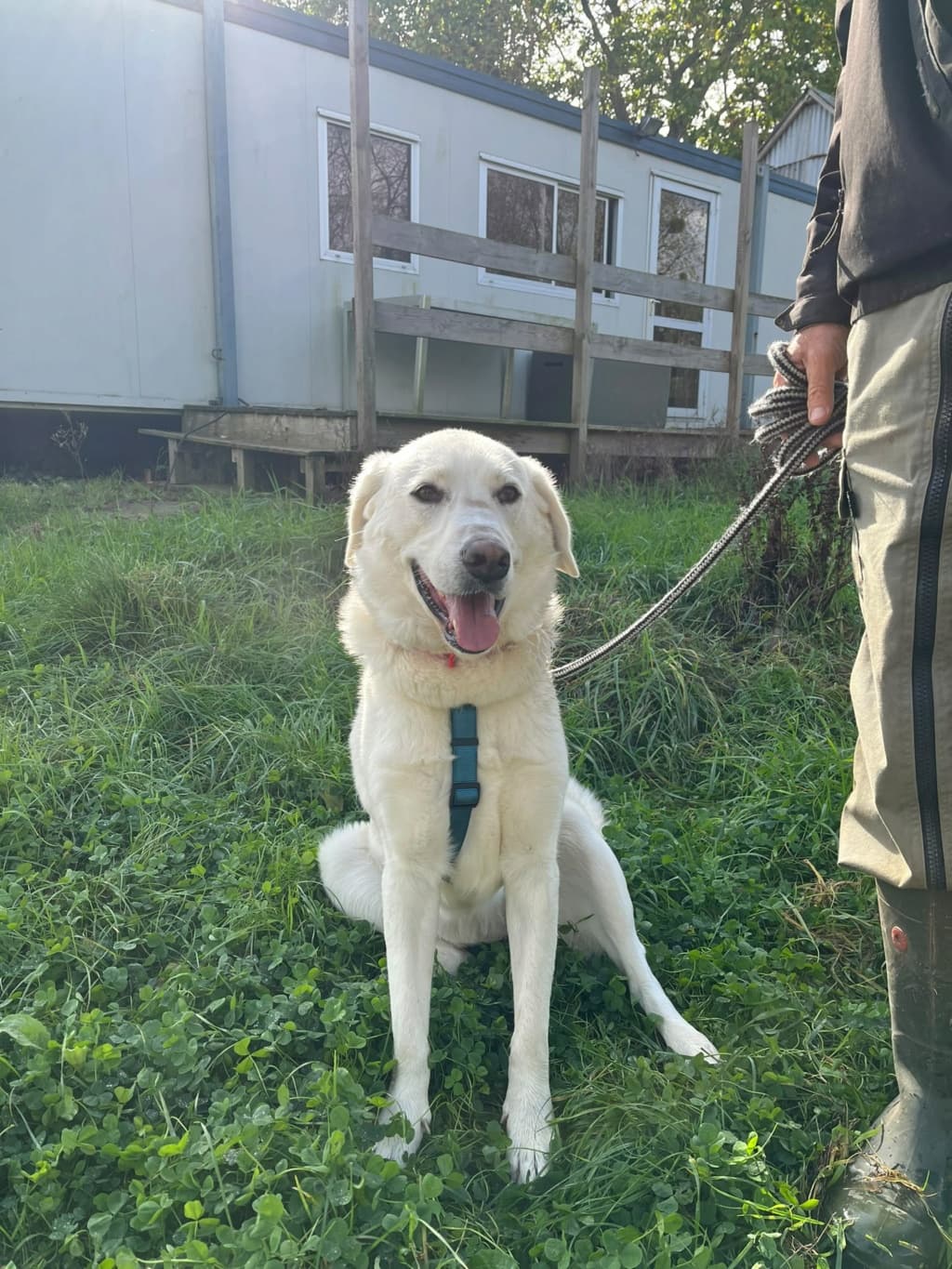 Samba