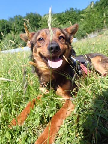 Sami · photo 2