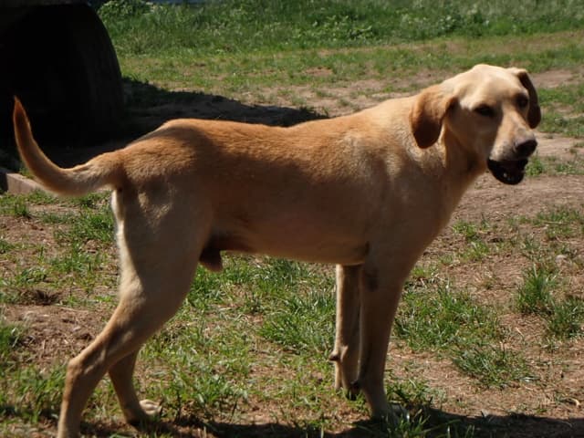 Sammy · photo 2