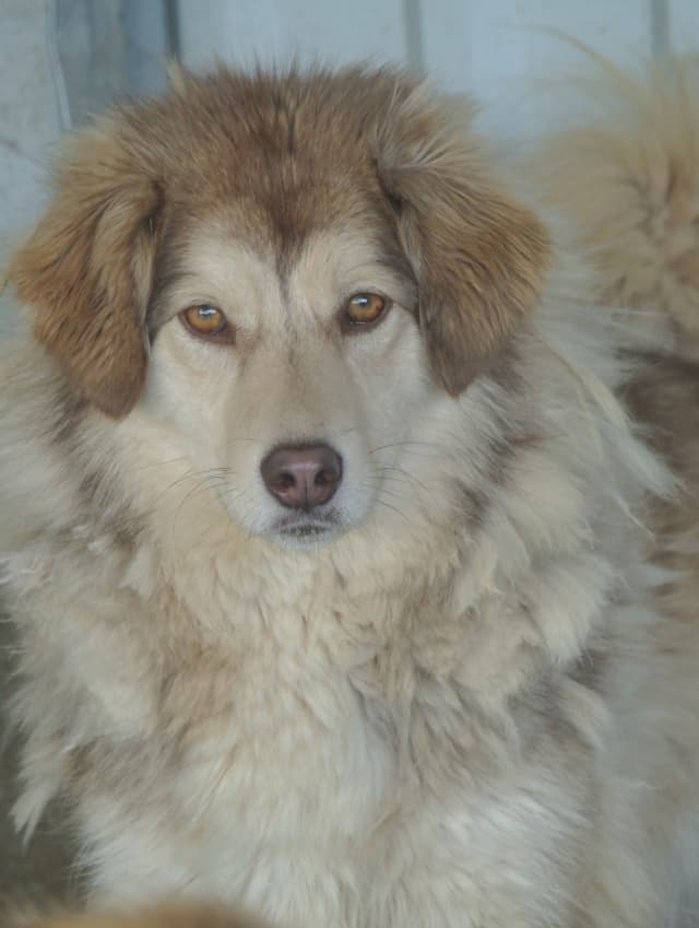 Selina · photo 12