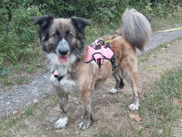 Selune · photo 1