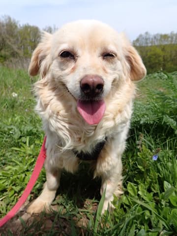 Sissou · photo 4