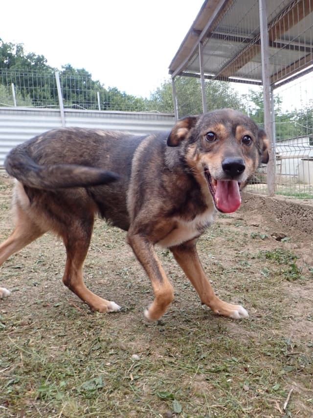 Skenner · photo 9