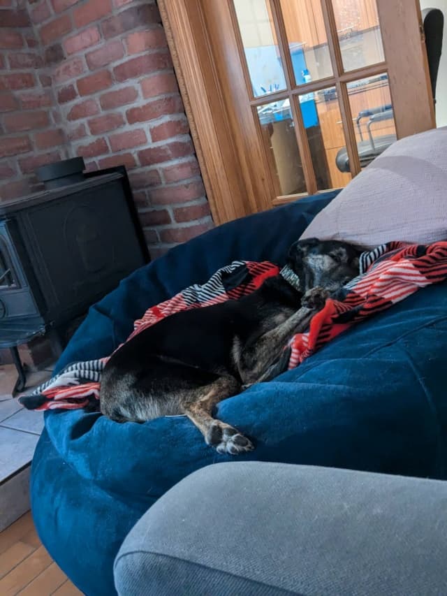 Skippy · photo 1