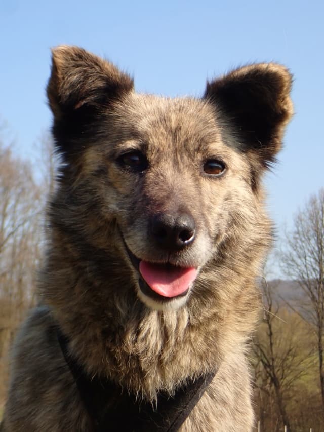 Sylka · photo 3