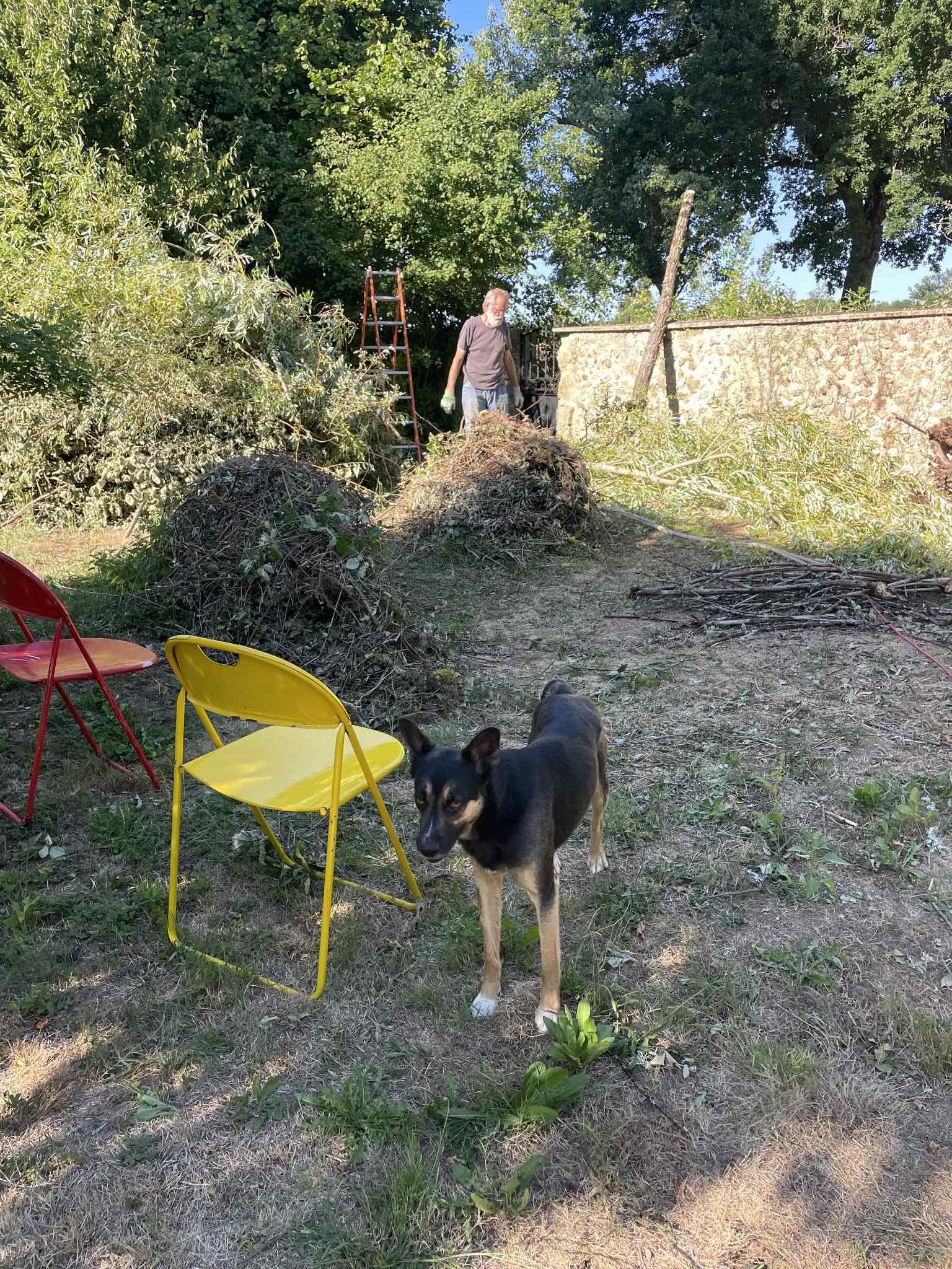 Taco · photo 11