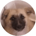 Tikk