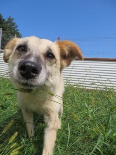 Tikk · photo 11