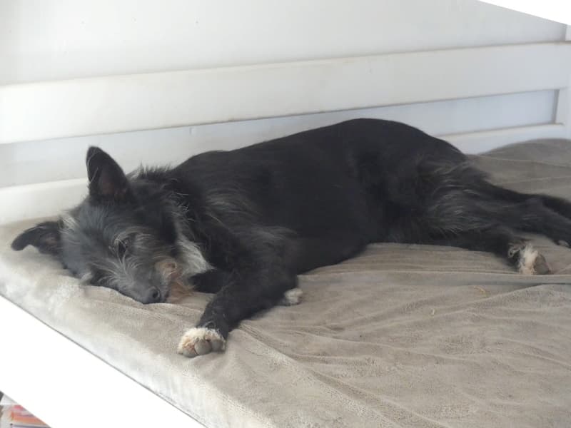 Tinou · photo 5