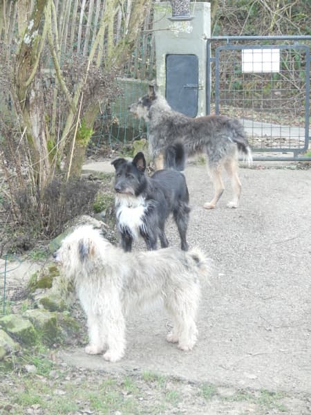 Tinou · photo 2
