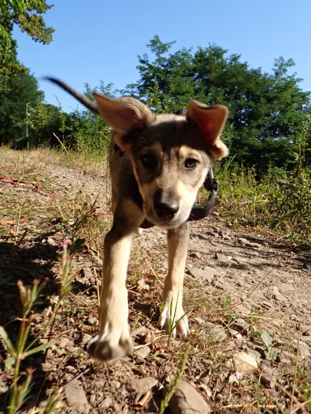 Valkira · photo 3