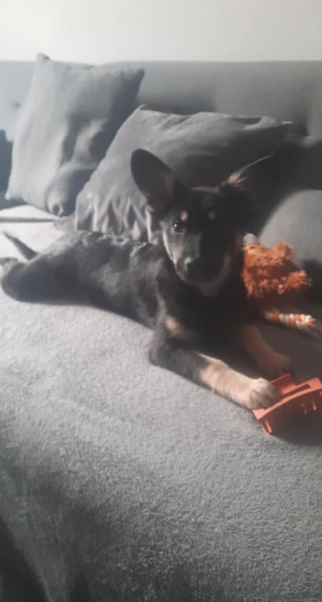 Vodka · photo 7