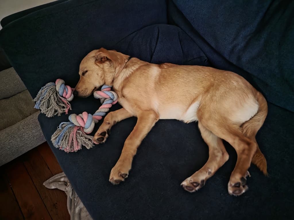 Winnie
