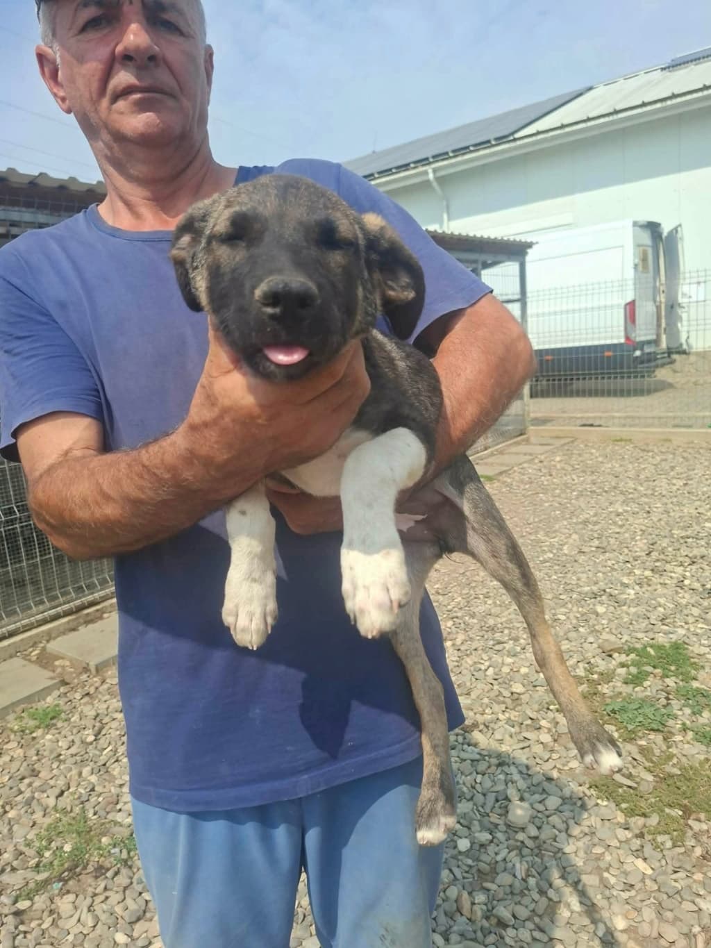 Yliana · photo 6