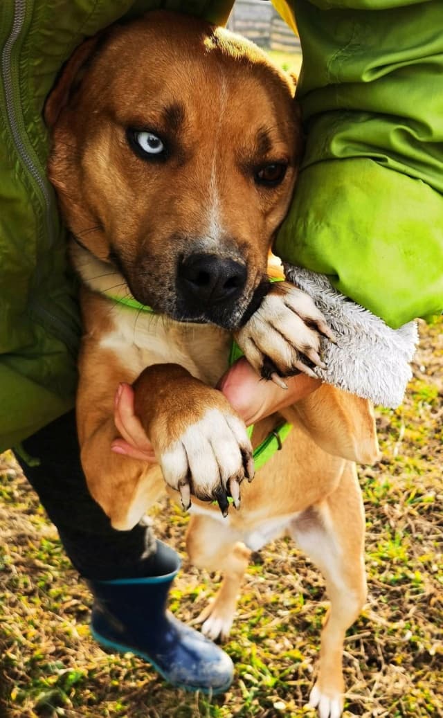 Zeus · photo 12