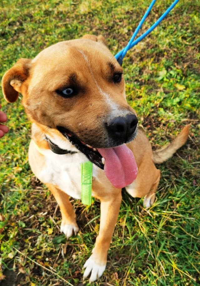 Zeus · photo 3