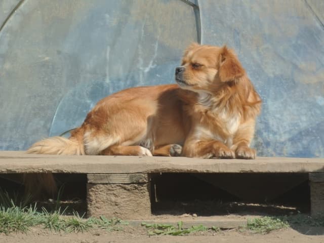 Zigoto · photo 3