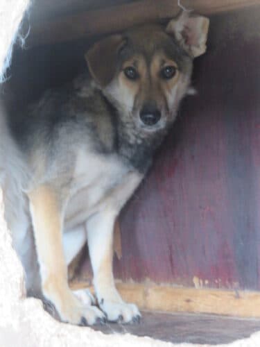 Zoée · photo 11