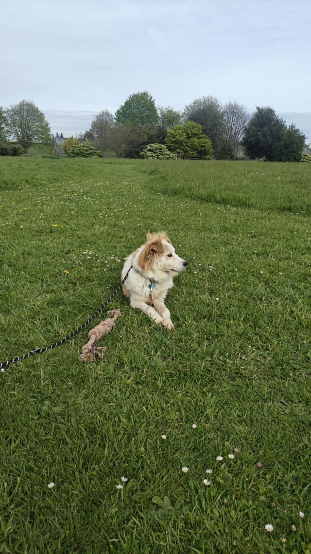 Zuko · photo 10