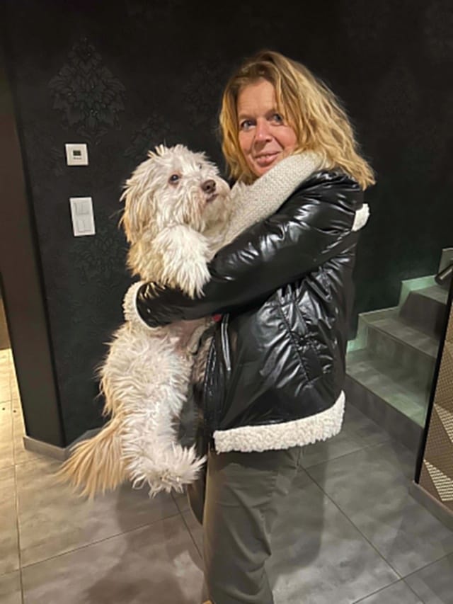 Irving, chien à l'adoption chez Remember Me France