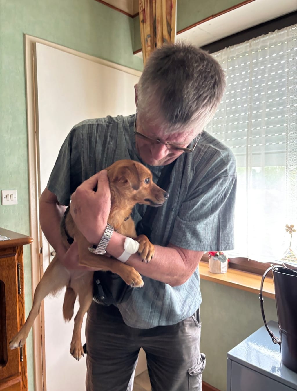 Lila, chien à l'adoption chez Remember Me France