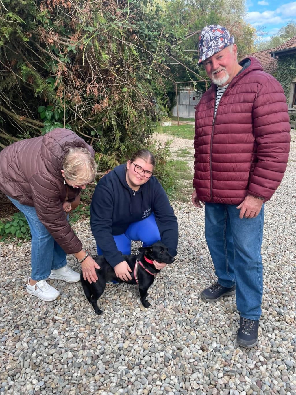 Mamaia, chien à l'adoption chez Remember Me France