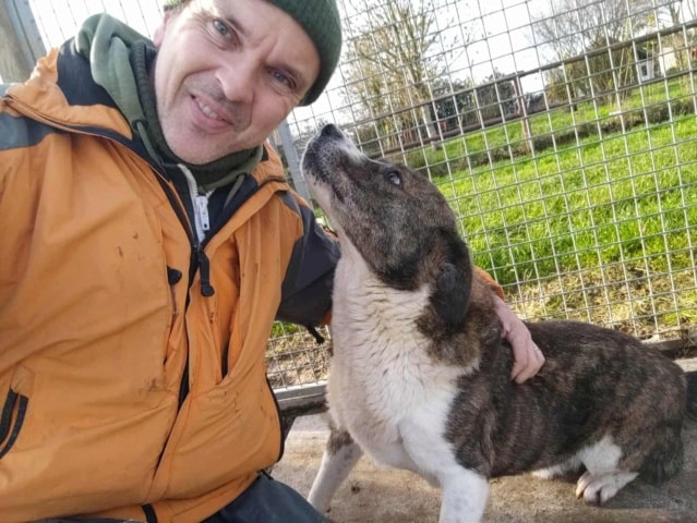 Bunker, chien à l'adoption chez Remember Me France