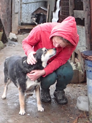 Cleopatra, dog for adoption at Remember Me France