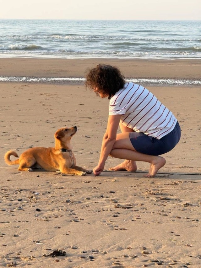 Kala, chien à l'adoption chez Remember Me France