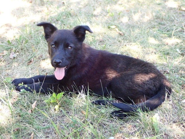 Photo de Oksana, à l'adoption