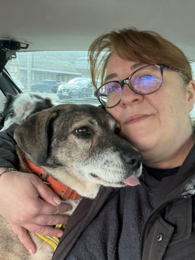 Scapa, dog for adoption at Remember Me France