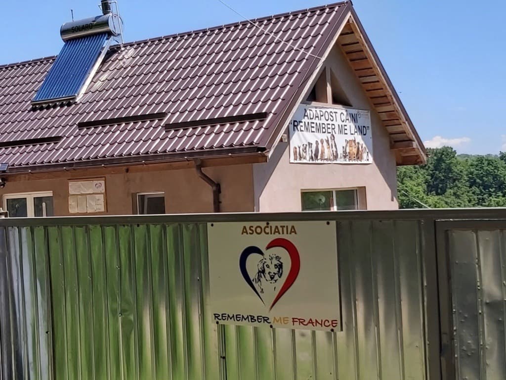 Le refuge Remember Me Land : où vivent nos chiens en Roumanie