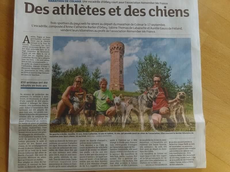 Dernières Nouvelles d’Alsace