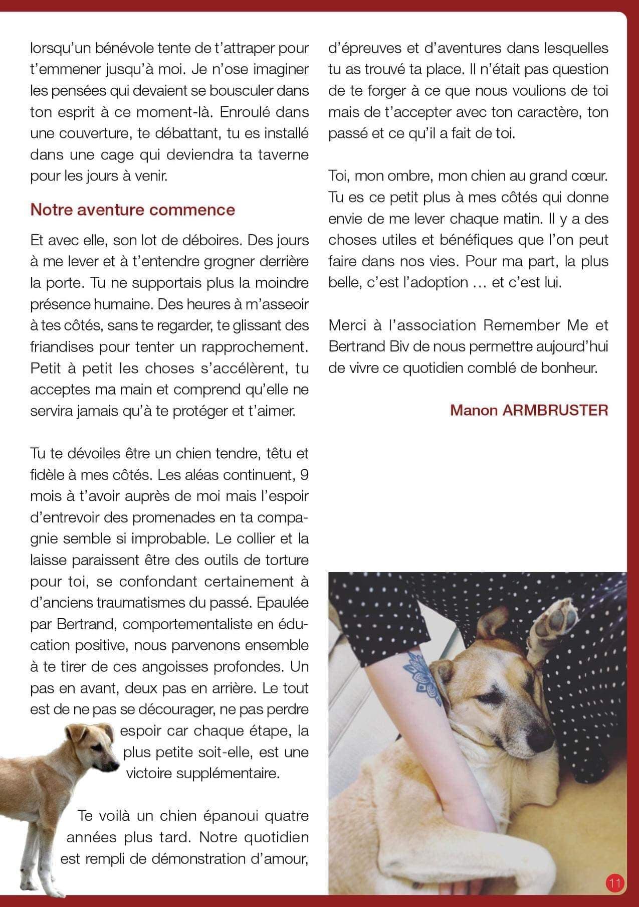 Témoignage d’une adoptante