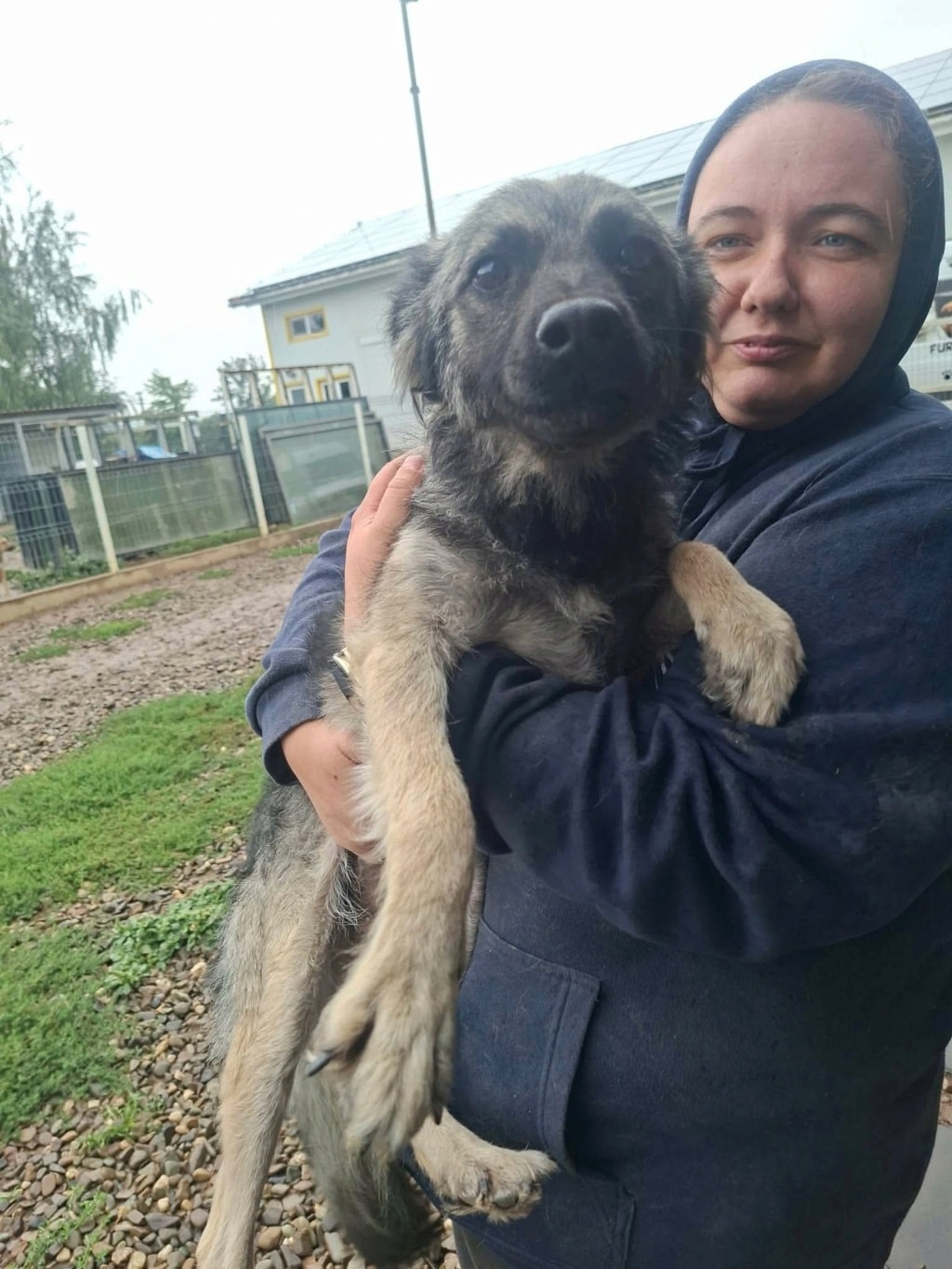 Melyra, chien sauvé par Remember Me France