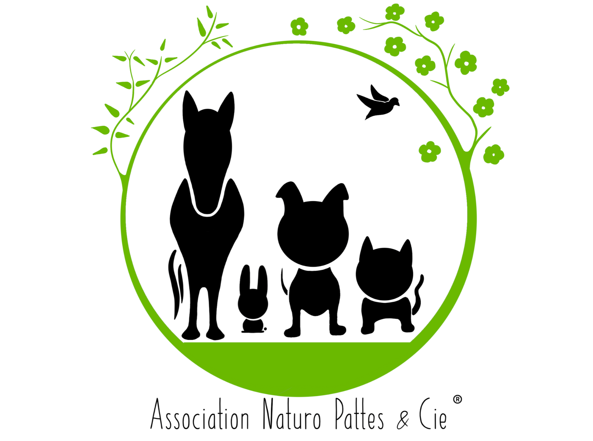 Logo Léa Naturo'pattes & cie