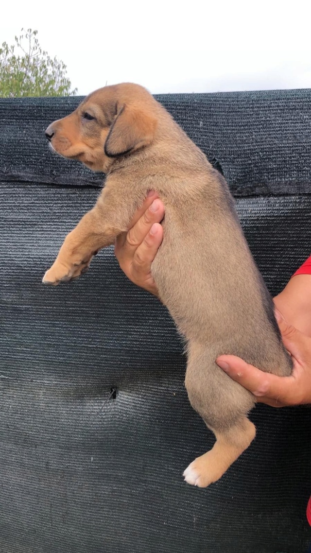 BROONIZE