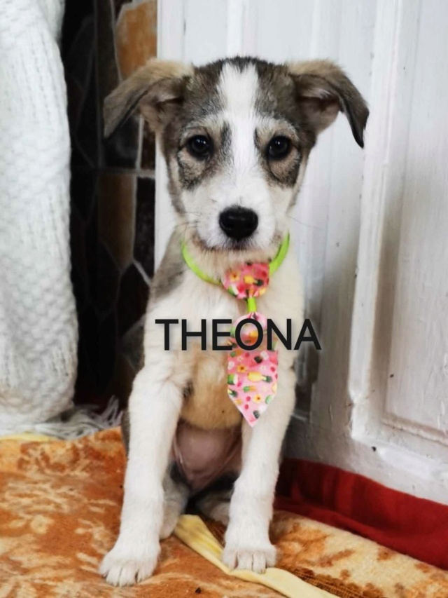 THEONA