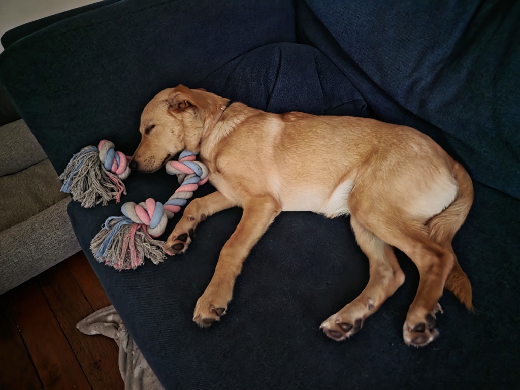 WINNIE