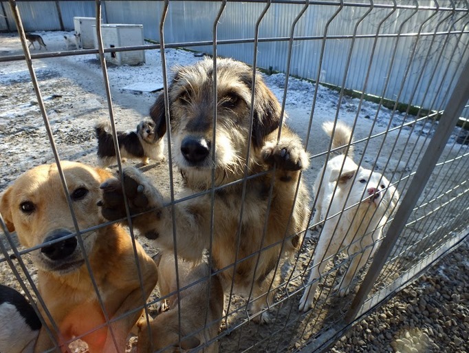 Qui sommesnous ? Association Remember Me France