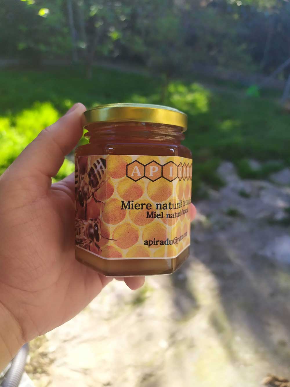 Miel d'acacia de Roumanie